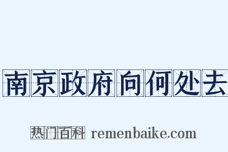 南京政府向何处去是什么意思的图片